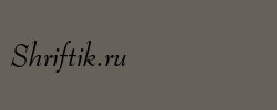 Bernhard Modern Italic BT 